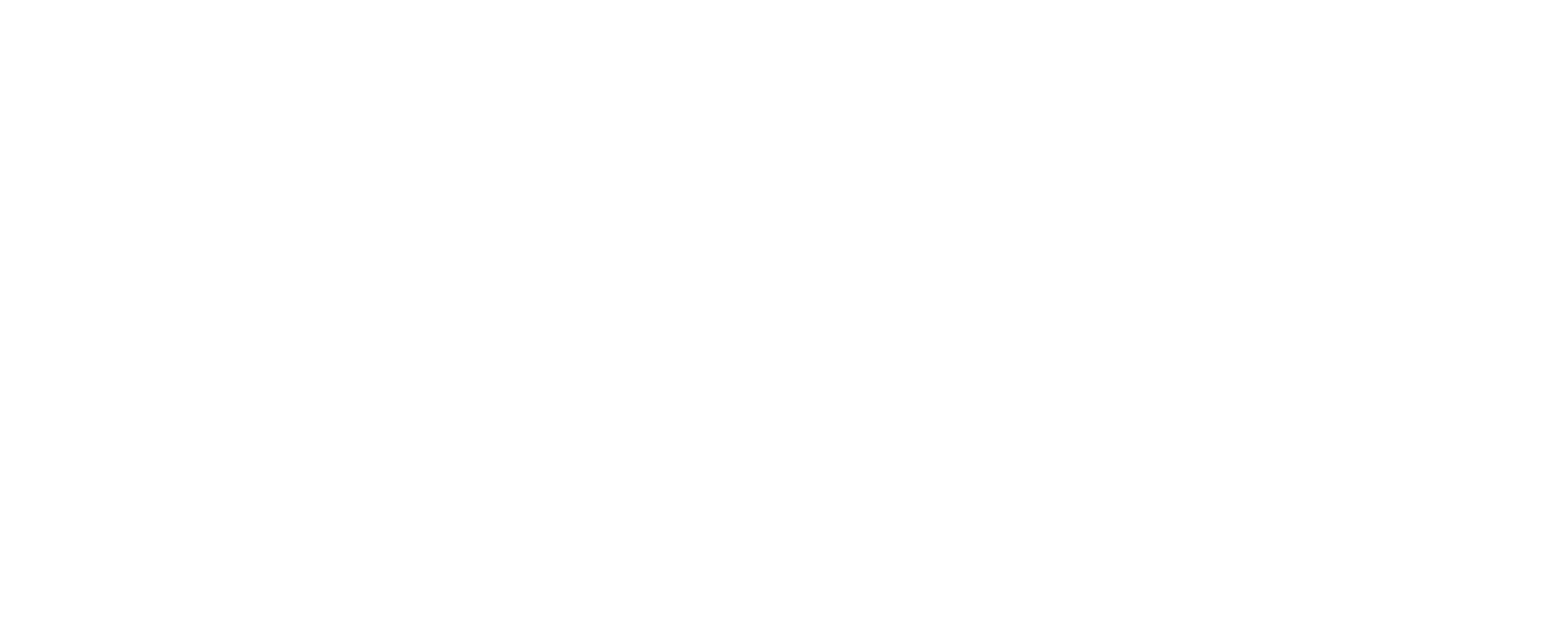 diebels_Logo_white diebels_Logo_white